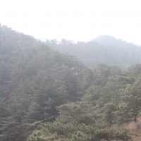 冰山来客2017