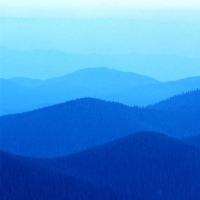 草原飞鹰