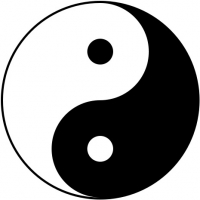 大傻瓜