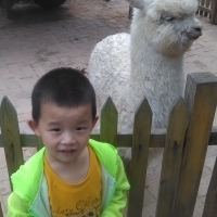 小小小虎