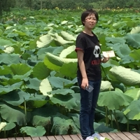 人新弈旧