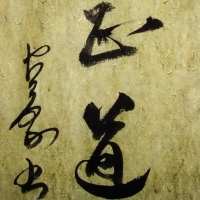 群龙愤死
