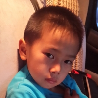 锦瑟ghh