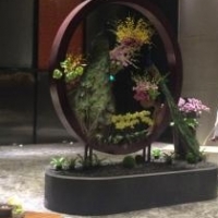 翱翔2007