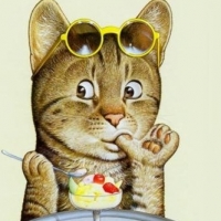 飞猫