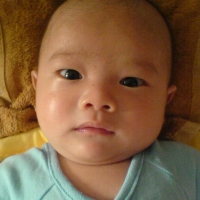 大笨蛋Cai
