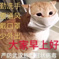 椿树