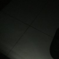 朱博士