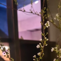 酉190404
